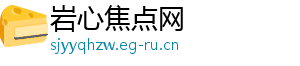 岩心焦点网